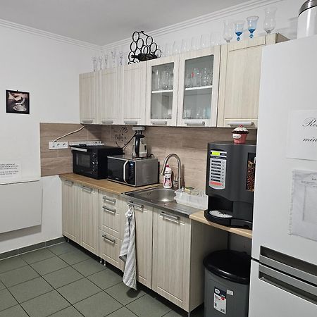 Bed and Breakfast Borostyan Panzio Debrecen Exterior foto